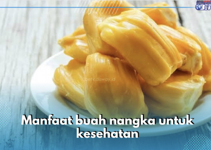 Kaya Antioksidan, Buah Nangka Simpan 7 Manfaat Ini untuk Kesehatan