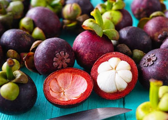 Stop Berlebihan! Inilah Efek Samping Konsumsi Buah Manggis, Picu Gangguan Pencernaan 