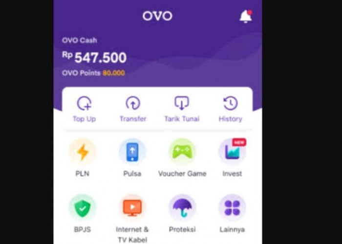 Download OVO Sekarang Juga! Dapatkan Saldo Rp 100 Ribu Gratis ke Dompet Digital, Dengan Cara Daftar di Sini