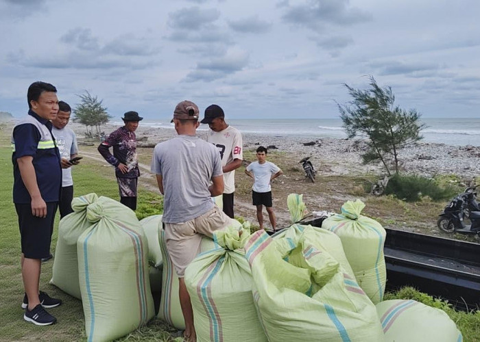 Targetkan 3.100 Ton Beras di Musim Tanam I, Bulog Bengkulu Gerak Cepat Serap Panen Petani