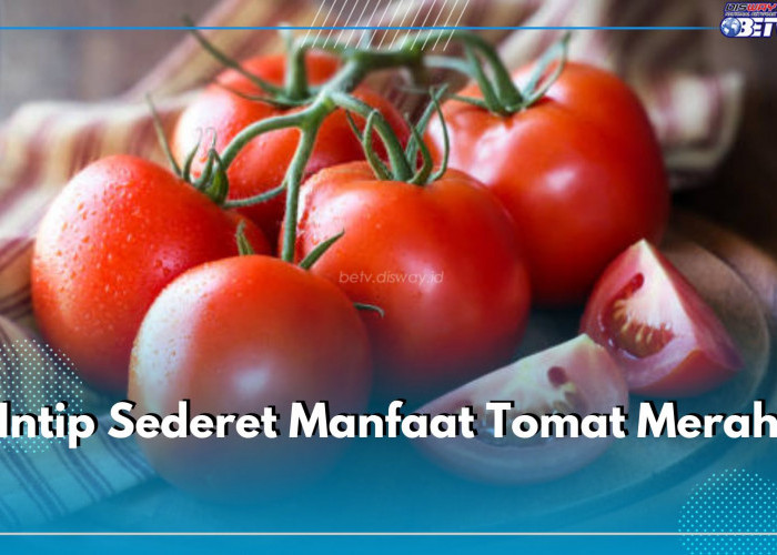 Intip Sederet Manfaat Tomat Merah, Kandungannya Ampuh Mencegah Beragam Masalah Kesehatan