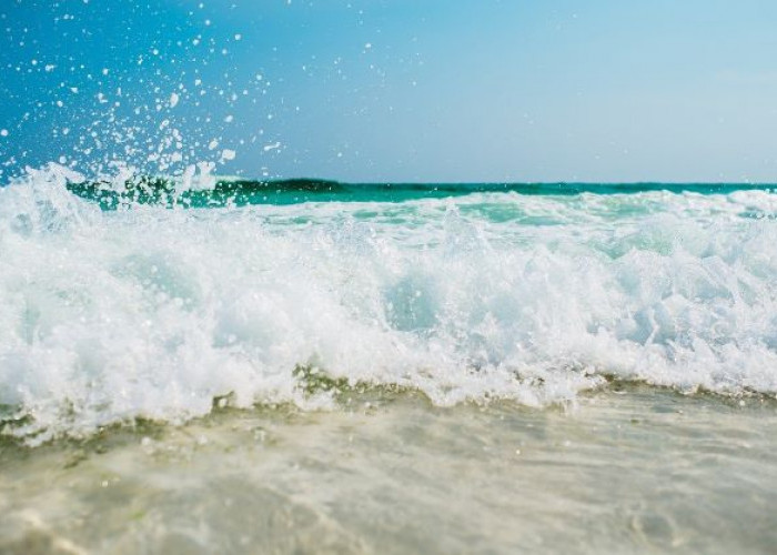 3 Alasan Kenapa Air Laut Asin, Menarik untuk Diketahui