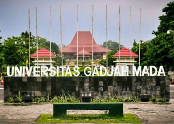 5 Universitas Terbaik Versi QS WUR 2023, Nomor Satu Tempat Kuliah Presiden Indonesia Jokowi!