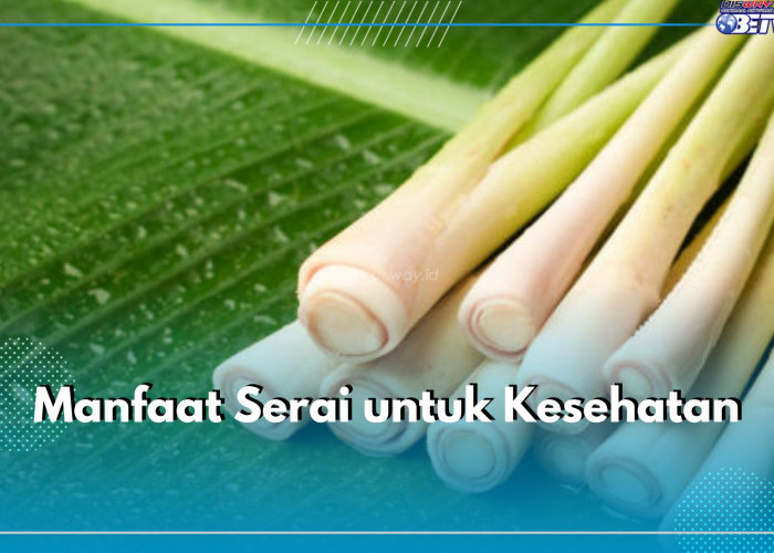 5 Manfaat Serai untuk Kesehatan yang Perlu Kamu Ketahui, Bisa Jadi Agen Detox Tubuh Dari Racun