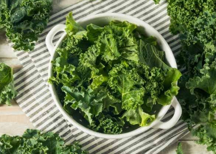 Sayur Kale Dikenal Sebagai Ratu Sayur, Ini 5 Manfaat Konsumsinya dengan Rutin!
