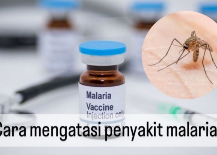 Jangan Sampai Terlambat! Ini 7 Cara Mengatasi Penyakit Malaria, Nomor 1 Konsumsi Obat