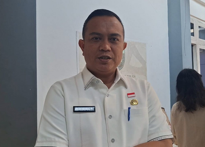 Buka Pertengahan Juli, Pemprov Bengkulu Ajak 200 Perusahaan Gabung Program Magang Nasional