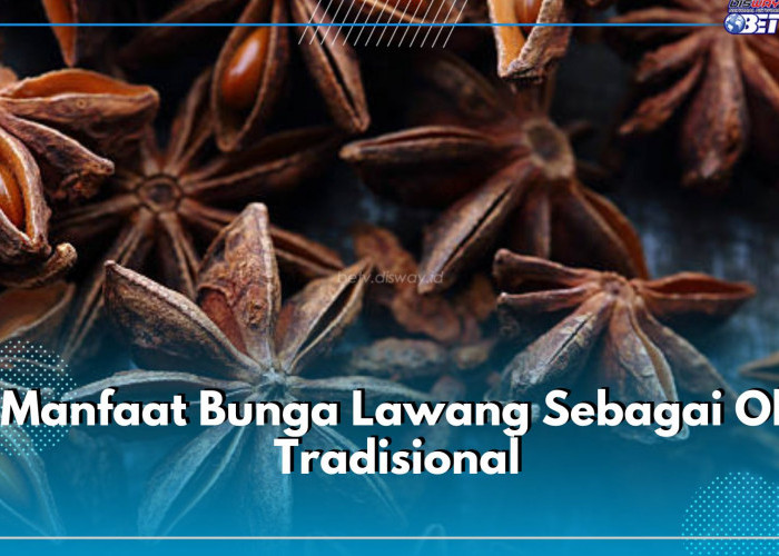 Rempah Pilihan! Ini 6 Manfaat Bunga Lawang Sebagai Obat Tradisional, Baik untuk Tubuh