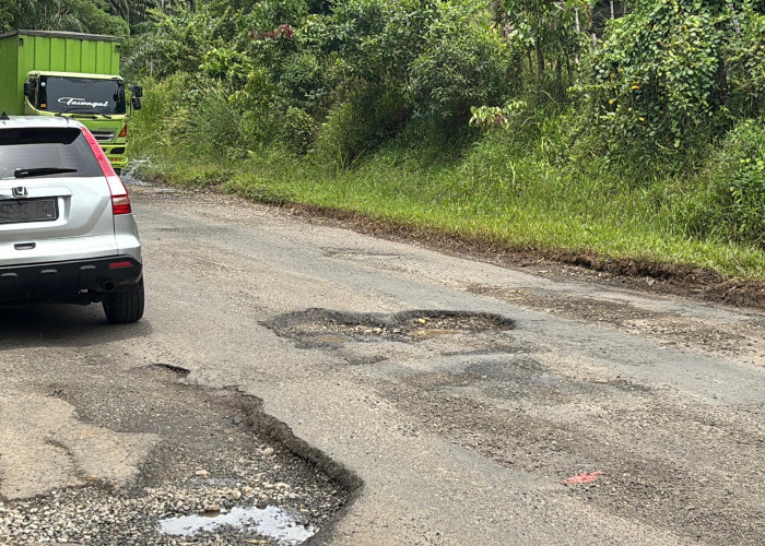 Protes Jalan Rusak di Seluma, Warga Desak BPJN Hentikan Proyek Tambal Sulam