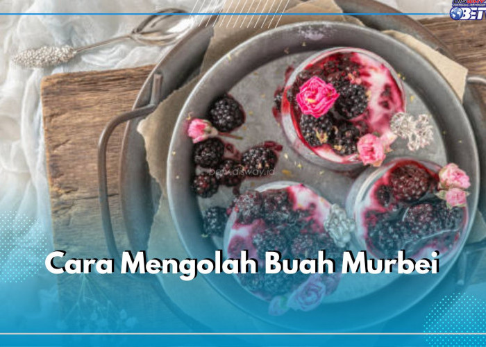 Cara Mengolah Buah Murbei Jadi Berbagai Sajian Lezat, Ada Selai hingga Smoothie, Cek Resepnya!