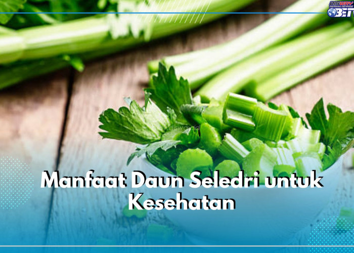 Ampuh Mencegah Kanker, Inilah Sederet Manfaat Tersembunyi Daun Seledri untuk Kesehatan, Cek Manfaatnya Disini!