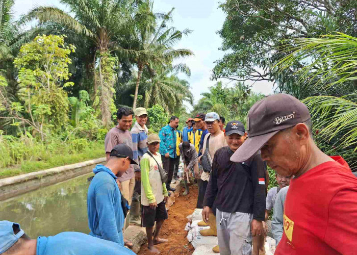 Warga Tiga Desa di Seluma Inisiatif Gotong Royong Perbaiki Tanggul Jebol