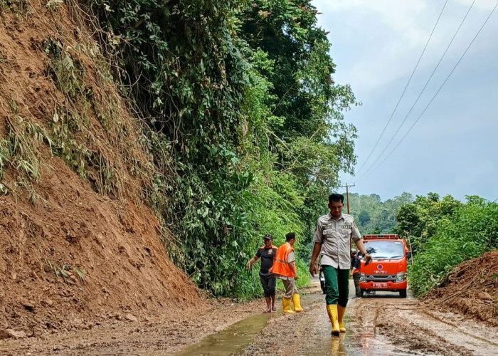 BPBD Bengkulu Selatan Gerak Cepat Evakuasi Material Longsor yang Menutup Jalan di Ulu Manna