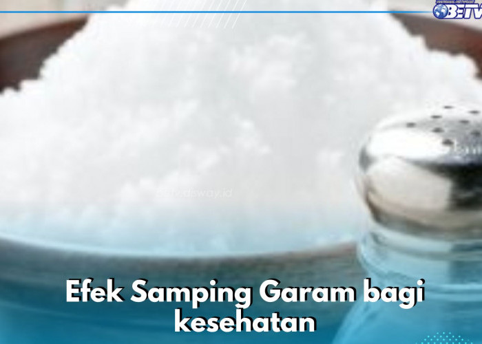 Efek Samping yang Perlu Kamu Tahu, Garam Bisa Sebabkan Demensia Vaskular Jika Konsumsi Berlebihan