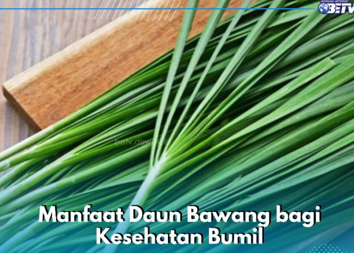 Daun Bawang Enak dan Sehat, Cek Manfaat yang Perlu Diketahui di Sini