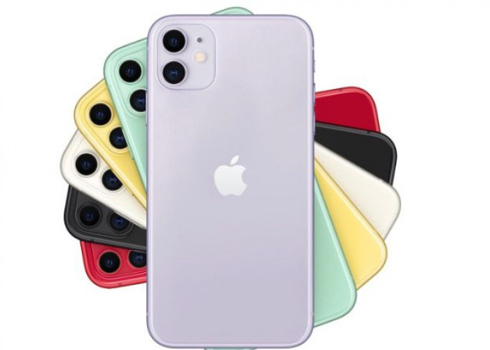 Berikut Update Terbaru Harga iPhone 11 per Desember 2023, Cek Spesifikasinya di Sini!