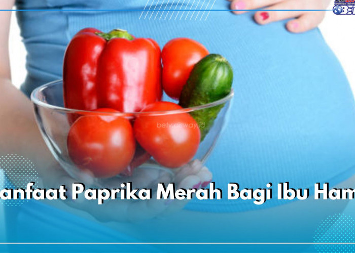 Mencegah Anemia! Cek Kandungan Paprika Merah dan Apa Saja Manfaatnya Bagi Ibu Hamil