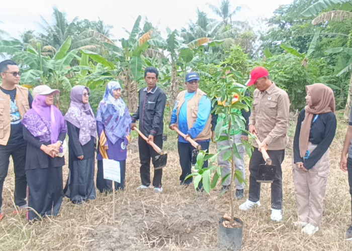 Yakesma Bersama Pelindo dan DLHK Provinsi Bengkulu Gelar Penanaman Pohon untuk Hijaukan Bumi