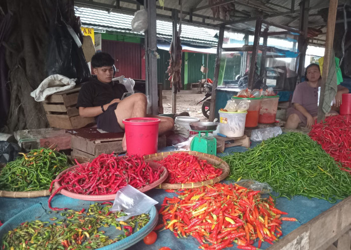 Harga Cabai Merah di Kota Bengkulu Turun Siginifikan Jadi Rp40 Ribu per Kg