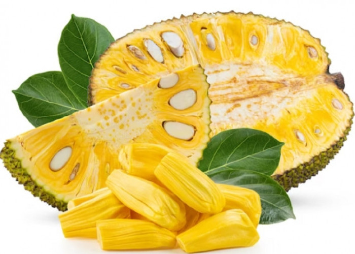 Jadi Camilan Sehat, Ini Manfaat Tak Terduga Buah Nangka Bagi Tubuh