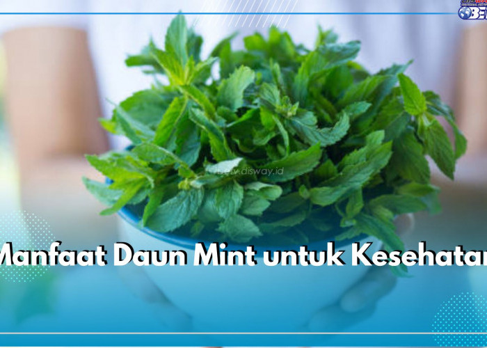 5 Manfaat Daun Mint untuk Kesehatan yang Tak Boleh Dilewatkan, Ampuh Kurangi Stres, Lho!