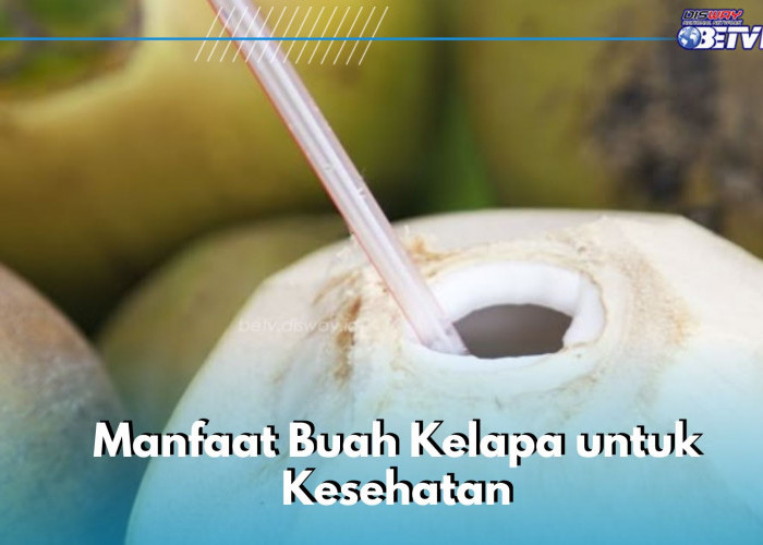 Bisa Membuat Pencernaan Membaik, Cek Manfaat Buah Kelapa di Sini