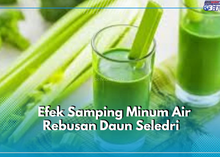 Timbulkan Alergi hingga Hipertensi, Cek Efek Samping Minum Air Rebusan Daun Seledri Secara Berlebihan