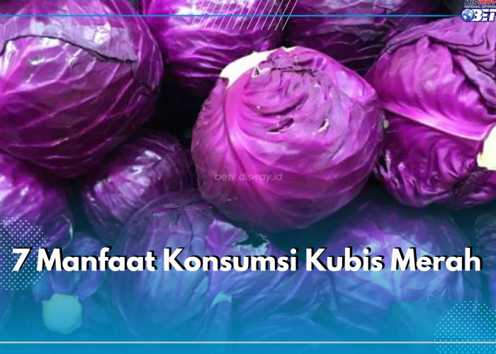 7 Manfaat Konsumsi Kubis Merah, Mampu Meningkatkan Kesehatan Jantung hingga Pengelihatan