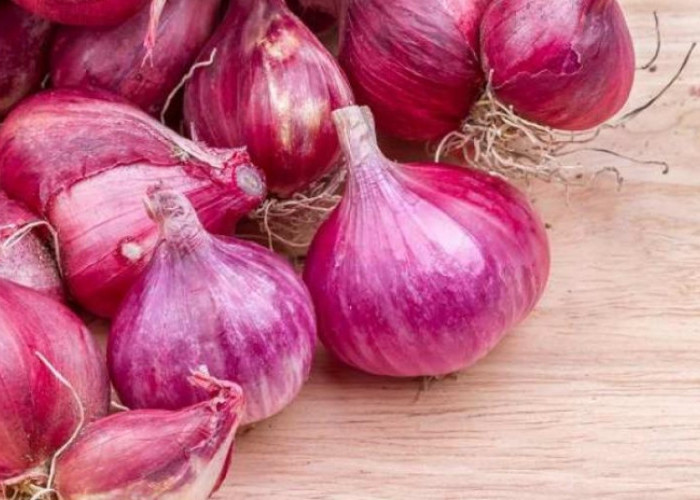 Klaim Segudang Manfaat Tak Terduga Bawang Merah Mentah untuk Kesehatan Tubuh!