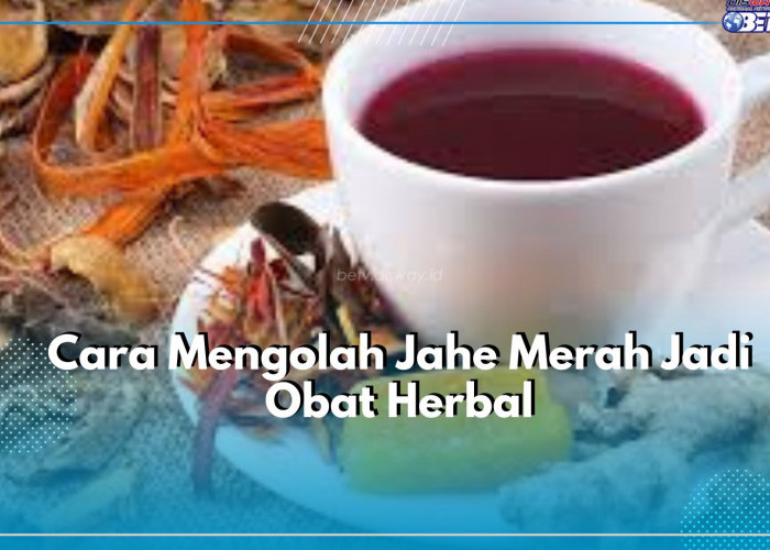 Jahe Merah Dapat Diolah Jadi Obat Herbal Alami, Cek Disini Cara Mengolahnya