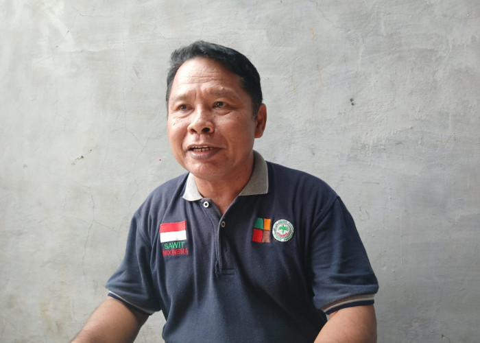 Aturan vs Realita: Harga TBS Sawit Bengkulu Resmi Rp3.321/Kg Tapi Pabrik Masih Beli Rp2.500