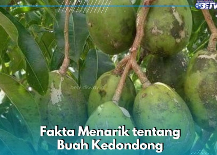Baik untuk Kesehatan, Ini Sederet Fakta Menarik tentang Buah Kedondong, Cek di Sini