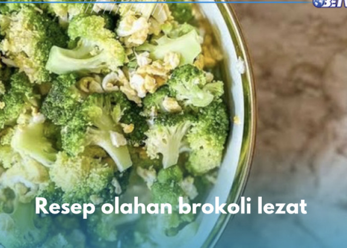 Yuk Bikin Hidangan Lezat dari Brokoli, Menu Sehat untuk Temani Makan Malam, Cek Resepnya