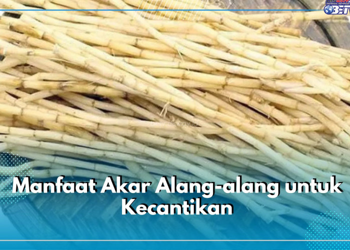 Melembabkan Serta Mencerahkan, Cek Ragam Manfaat Akar Alang-alang untuk Kecantikan