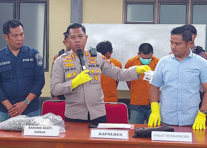 Polisi Gagalkan Peredaran Ganja Ratusan Gram di Bengkulu Tengah