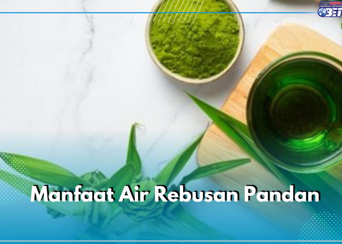 Manfaat Lain Air Rebusan Daun Pandan yang Sayang Dilewatkan, Mampu Mengatasi Insomnia