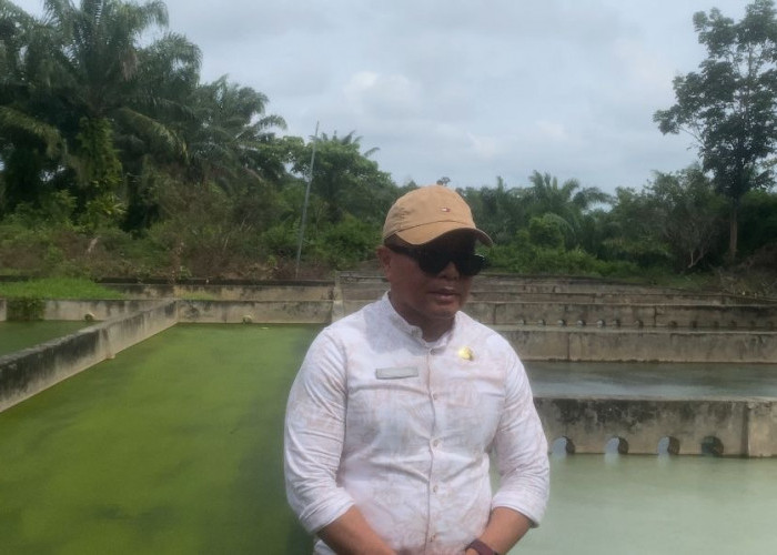 Kapasitas Kritis, DLHK Bengkulu Selatan Lobi Kementerian untuk Perluasan Zona TPA