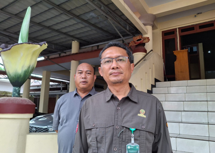 Penyebab Kematian 3 Satwa Dilindungi di Mukomuko Masih Diselidiki, BKSDA Tunggu Hasil Laboratorium