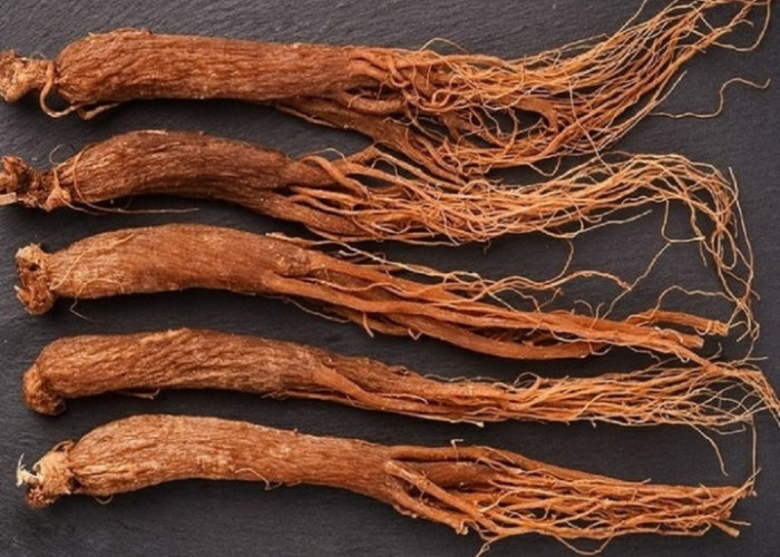 Cek Disini, 8 Manfaat Ginseng Merah untuk Kecantikan Kulit 
