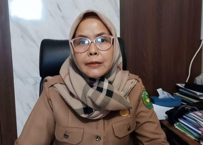 Cegah Pohon Tumbang di Musim Hujan, DLH Kota Bengkulu Siapkan Pemangkasan di Sejumlah Titik Rawan