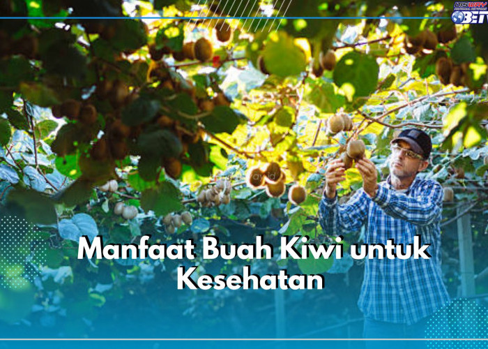 Ampuh Mengatasi Asma, Inilah Sederat Manfaat Buah Kiwi untuk Kesehatan yang Wajib Diketahui