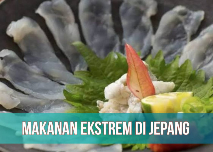 Ekstrem! Hewan Beracun Ini Diolah Jadi Hidangan Mewah di Jepang, Berani Coba?