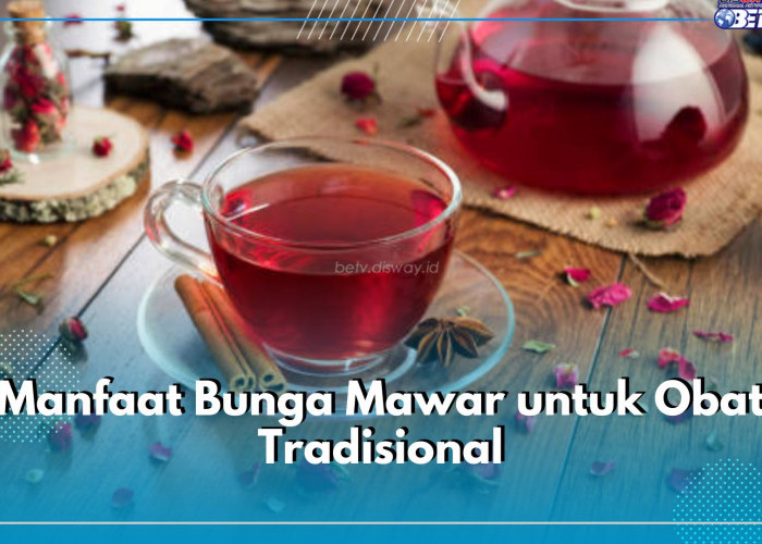 Intip Sederet Manfaat Bunga Mawar Untuk Obat Tradisional, Bisa Bantu Atasi Nyeri Haid, Lho!