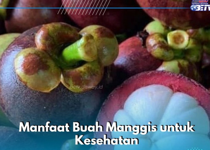 Cek 8 Manfaat Buah Manggis di Sini, Dapat Menunjang Sistem Imun hingga Daya Tahan Tubuh Meningkat