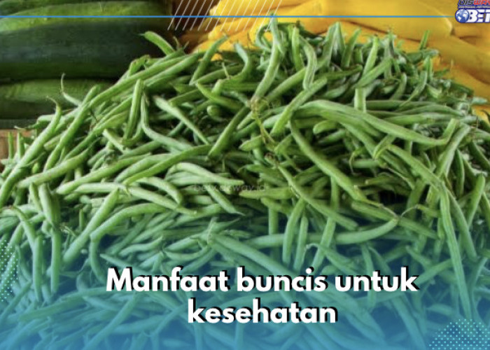 Dapat Kurangi Gejala Depresi, Buncis Tawarkan 5 Manfaat Ini untuk Kesehatan