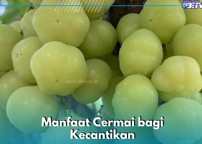 Manfaat Lain Buah Cermai bagi Kecantikan, Ampuh Mencegah Jerawat