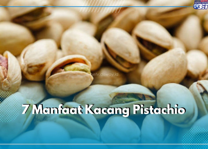 Sering Dikonsumsi Sebagai Camilan, Ini 7 Manfaat Kacang Pistachio bagi Kesehatan Tubuh Kamu