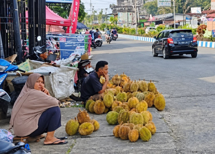 Bupati Bengkulu Selatan Dukung Warga Jualan Durian, Asal Tidak Bikin Macet dan Kotori Jalan