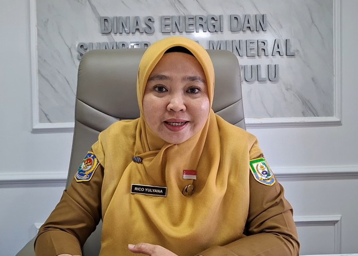 Optimalkan PAD Sektor Tambang, Pemprov Bengkulu Bentuk Tim Percepatan MBLB