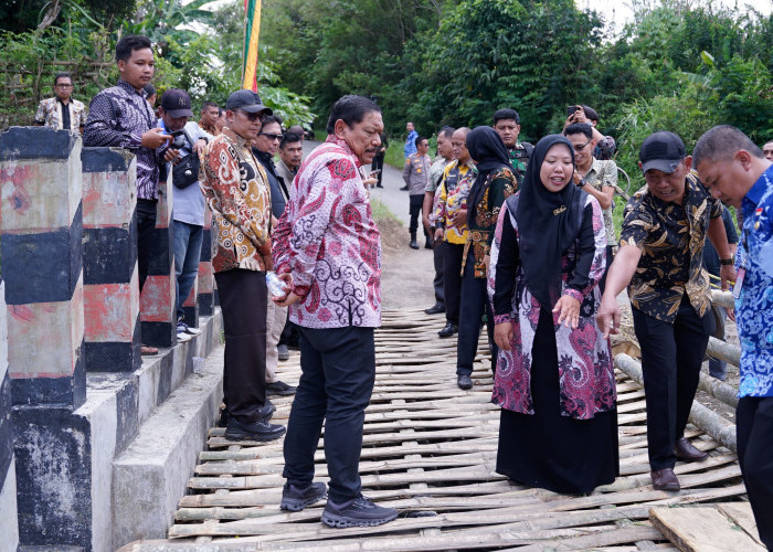 Wagub Tinjau Jembatan Amblas di Air Merah, Gubernur Helmi Hasan Instruksikan PUPR Gerak Cepat